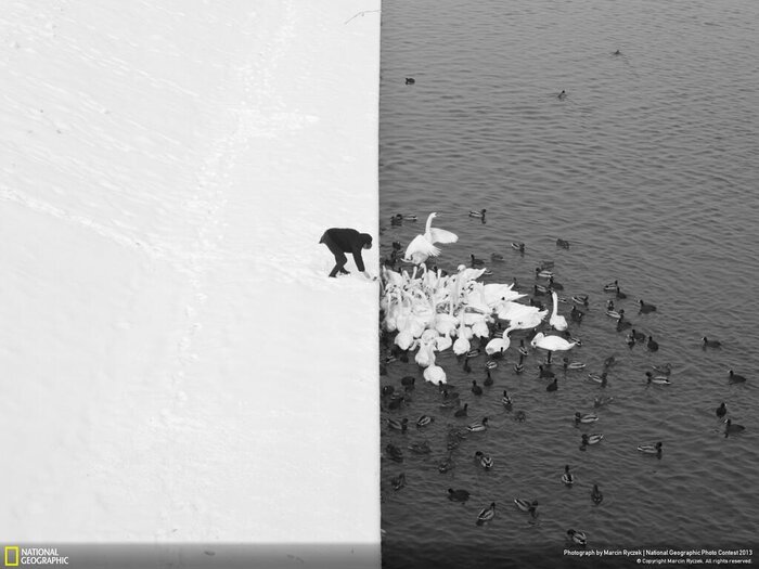 نشنال جئوگرافی چگونه از مناظر برفی عکاسی میکند؟+ فیلم