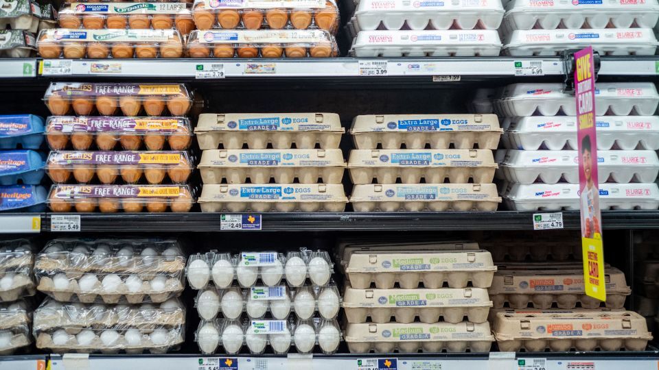  تخم مرغ؛ گران ترین ماده غذایی در آمریکا در سال ۲۰۲۲
