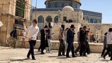 حماس: مسجد الاقصی در خطر است