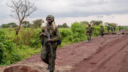 اتحادیه اروپا خواستار توقف حمایت روآندا از شورشیان شد