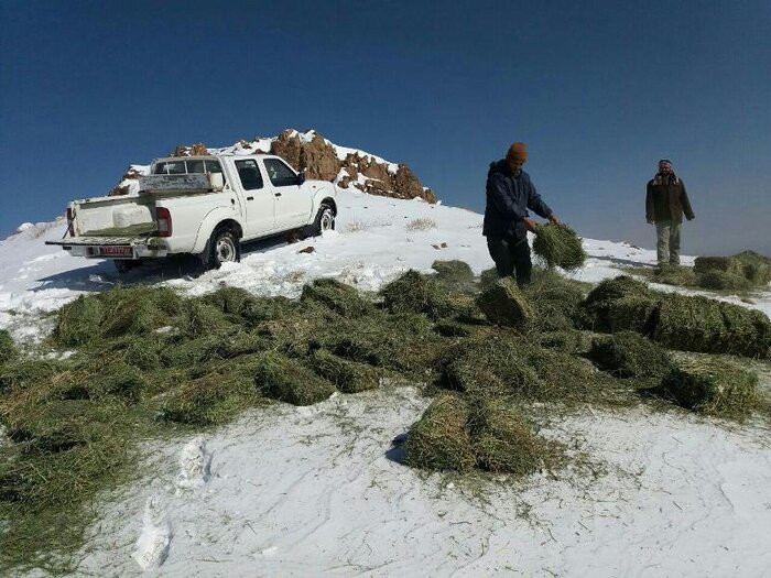 سرمای سخت و سوزان و وحوش گرسنه دنا