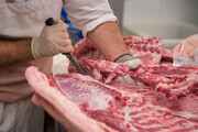  توزیع  گوشت گرم گوسفندی و مرغ با قیمت تعادلی در کرج 