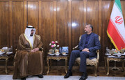El embajador de los Emiratos Árabes Unidos se reúne con Amir Abdolahian