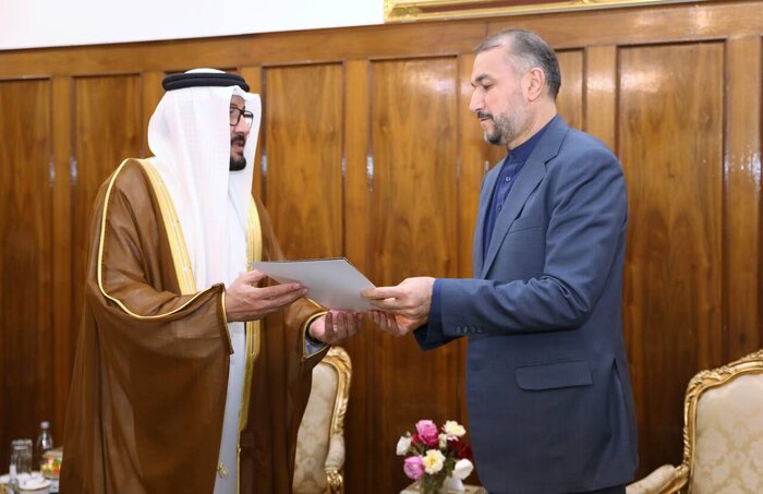 El embajador de los Emiratos Árabes Unidos se reúne con Amir Abdolahian