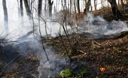 افزون بر ۴۰ هزار متر مربع جنگل های غرب مازندران در آتش سوخت 