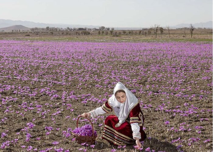 گردشگری کشاورزی در خراسان‌شمالی؛ اندیشه‌ای نو درآمدی پایدار