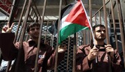شمار اسیران فلسطینی محکوم به حبس ابد به ۵۵۹ نفر رسید