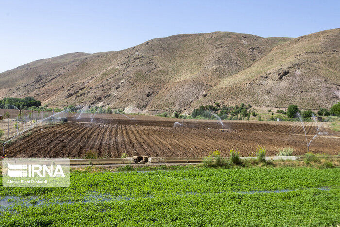 اجرای سامانه گرمسیری در روستاهای جامانده قصرشیرین مهمترین مطالبه مردم است