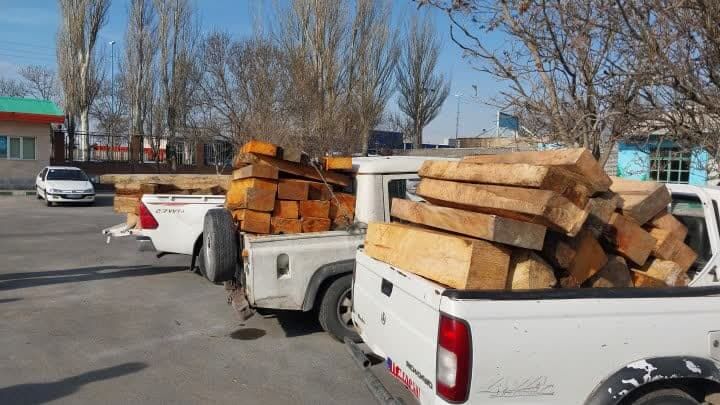 ۷۰ اصله الوار قاچاق جنگلی در استان اردبیل کشف شد