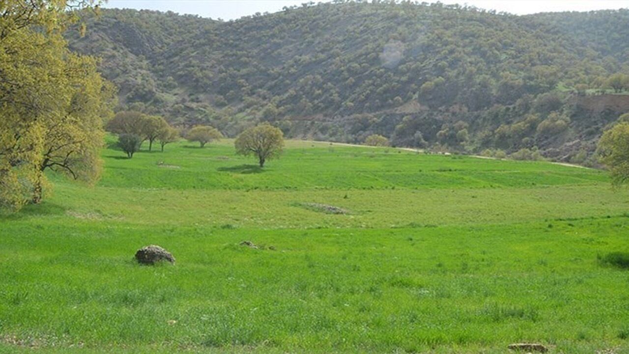 کشاورزان به اخذ اسناد مالکیت اراضی خود ترغیب شوند