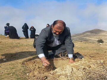 بذرکاری و نهال کاری در ۱۰۰ هکتار از اراضی ملی گچساران انجام شد
