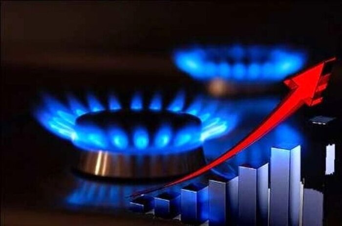 کمیته اضطرار انرژی دستور قطع گاز ۲۴۰ صنایع مازندران را صادر کرد