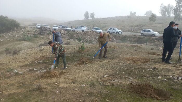 بذرکاری و نهال کاری در ۱۰۰ هکتار از اراضی ملی گچساران انجام شد