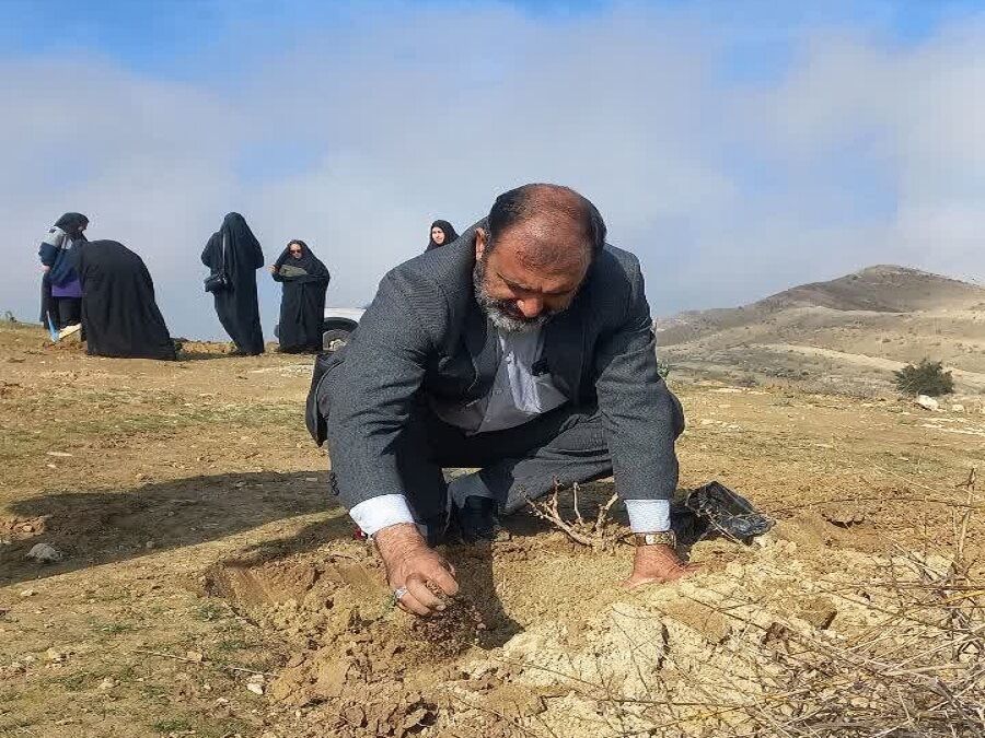 بذرکاری و نهال کاری در ۱۰۰ هکتار از اراضی ملی گچساران انجام شد