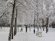 پاکی هوا هدیه بارش برف زمستانی به کلانشهر مشهد