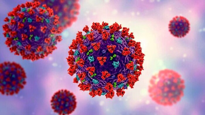 توصیههایی برای پیشگیری از حساسیت پاییزی/تفاوتهای آلرژی فصلی با کرونا