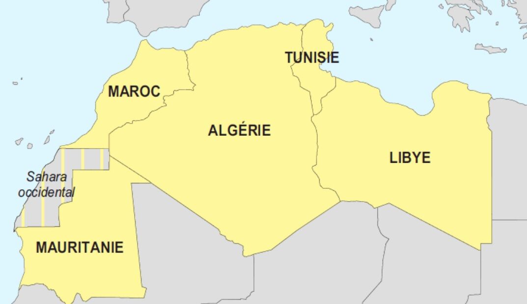 Le régime sioniste, un facteur de déstabilisation dans les relations Algérie-Maroc