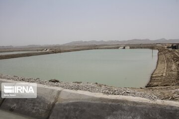 آغاز واگذاری زمین های پرورش میگو با پیش بینی اشتغال ۱۶۰۰ نفر در استان بوشهر