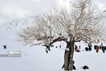 People in western Iran enjoy snowfall