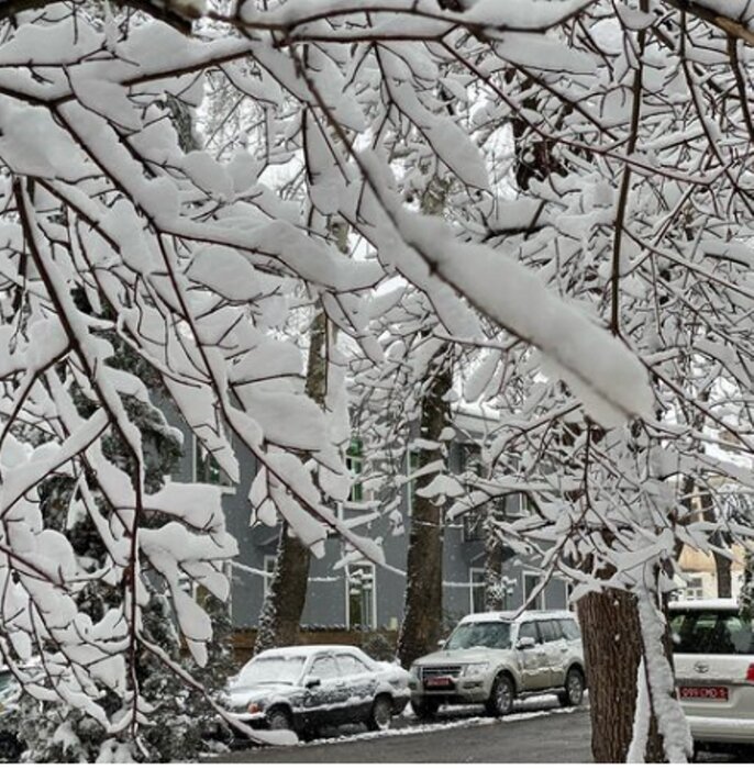 برف و سرما آسیای مرکزی را زمین‌گیر کرد
