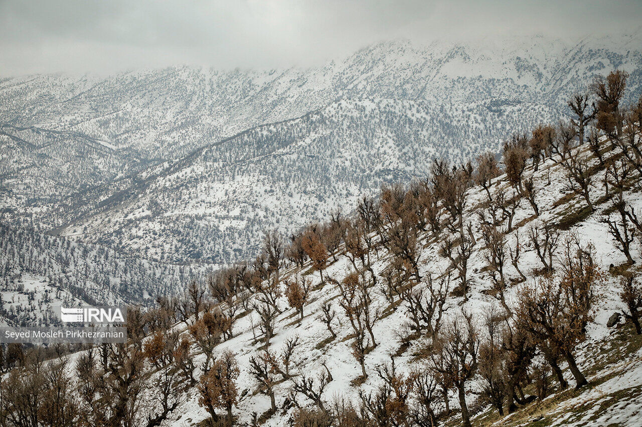 سرما و یخبندان بر مناطق جنوبی آذربایجان‌غربی حاکم شد