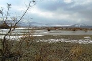 بخش‌هایی از تالاب «قوپی‌باباعلی» مهاباد یخ زد