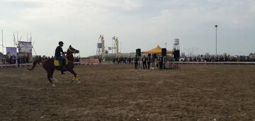 همایش اسب سواری در بندر گناوه برگزار شد