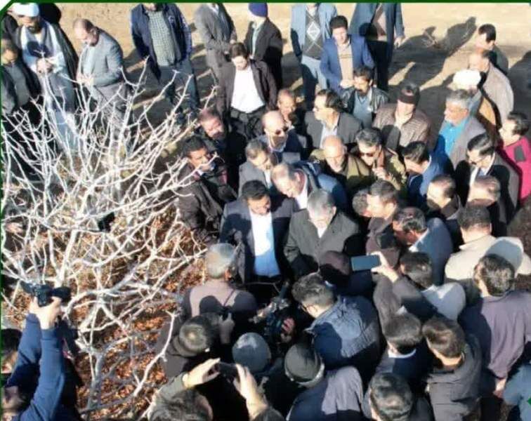 وزیر جهاد کشاورزی: تعدیل هزینه پروانه چاه‌ کشاورزی از طریق وزارت نیرو پیگیری می‌شود