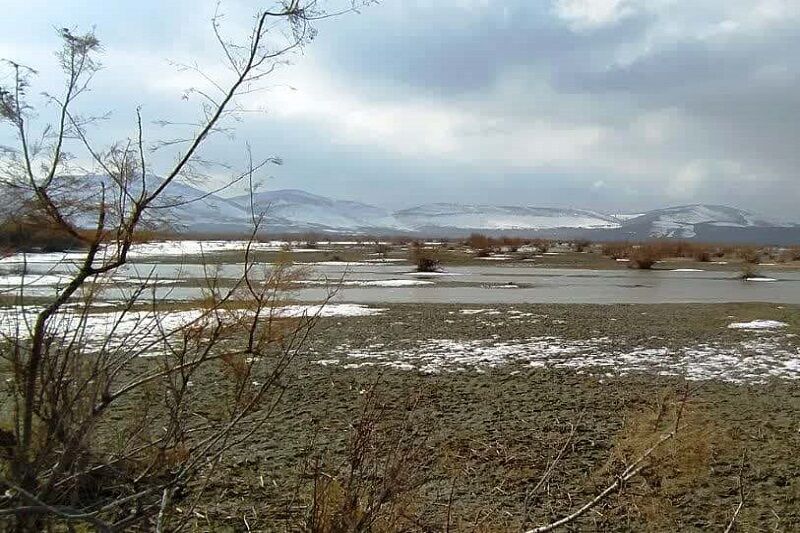 بخش‌هایی از تالاب «قوپی‌باباعلی» مهاباد یخ زد