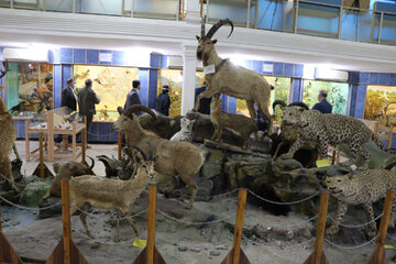 بازدید از موزه تاریخ طبیعی و تنوع زیستی گیلان رایگان است