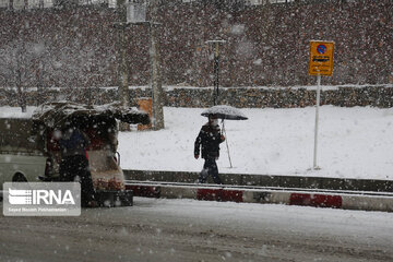 بارش برف کردستان را فرا گرفت  