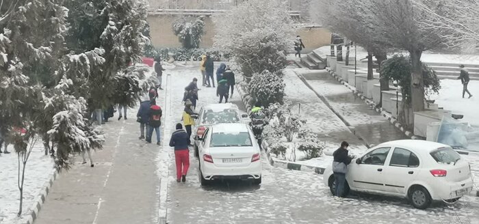 برف در کرمانشاه با خود شادی آورد+ فیلم