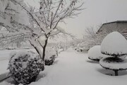 ارتفاع برف در برخی شهرهای کردستان به بیش از ۳۰ سانتی‌متر رسید
