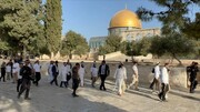 یورش دوباره صهیونیست‌ها به مسجد الاقصی/ تخریب محل های تجاری فلسطینیان در قدس