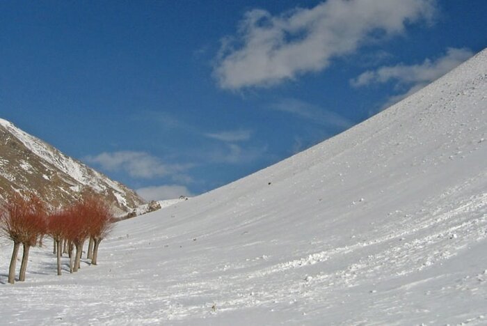 ۲۰ پیست اسکی معروف ایران