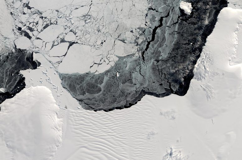 خبر خوب محققان: سرعت از بین رفتن صفحات یخی قطب جنوب را می‌توان کُند کرد