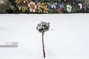 Iran : Balade dans la neige