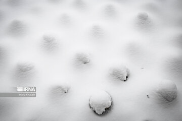 Iran : Balade dans la neige