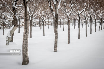 Iran : Balade dans la neige