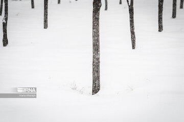 Iran : Balade dans la neige