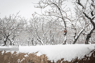 Iran : Balade dans la neige