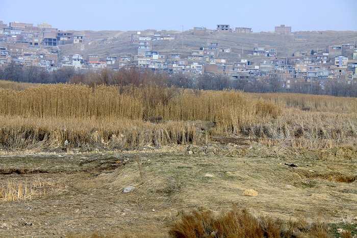 سرشماری زمستانی پرندگان در تالاب یوسف‌کند مهاباد + فیلم