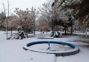 بارش برف خراسان جنوبی را سفیدپوش کرد + فیلم