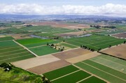 اجرای آمایش سرزمین موجب حفظ اراضی کشاورزی می‌شود