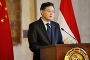 تاملی بر سخنان وزیر خارجه چین در مصر؛ ضرورت احترام به تمامیت ارضی کشورها