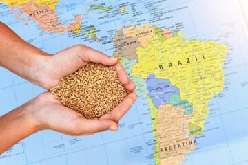هشدار فائو نسبت به ناامنی غذایی بی‌سابقه‌ در آمریکای لاتین و کارائیب