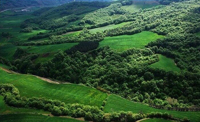 بازنگری قانون مناطق حفاظت شده البرز مرکزی ضرورت اجتناب ناپذیر برای غرب مازندران 