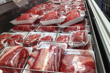 ۸۰ تن گوشت قرمز منجمد در چهارمحال و بختیاری آماده توزیع شد