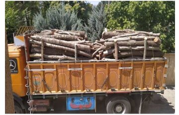 ۱۲۲ قاچاقچی چوب در غرب مازندران دستگیر شدند 