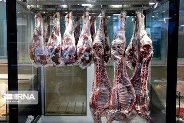 گوشت قرمز گرم وارداتی و منجمد تنظیم بازاری از سلامت بالا برخوردار است